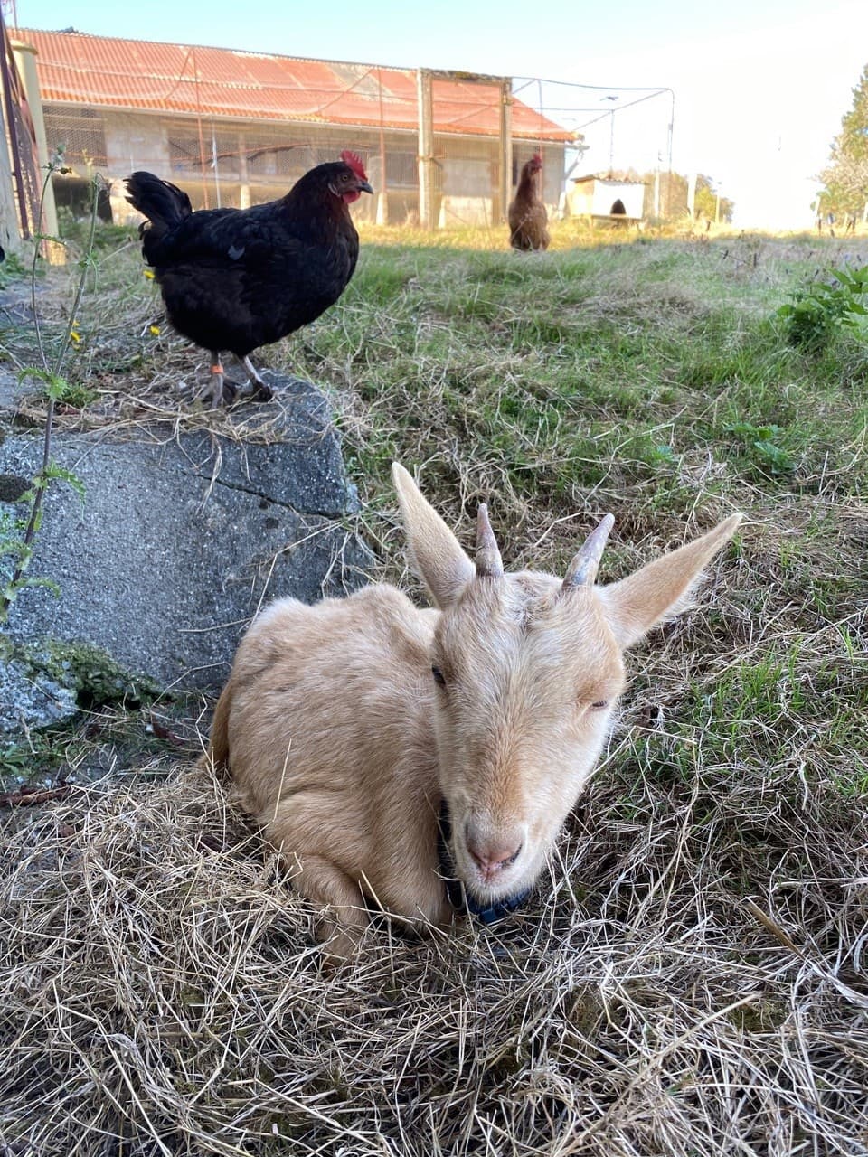 Ferme Équi’libre