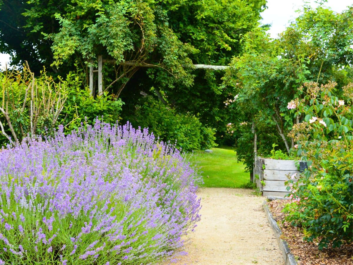 Jardin de l'An Mil à nos jours