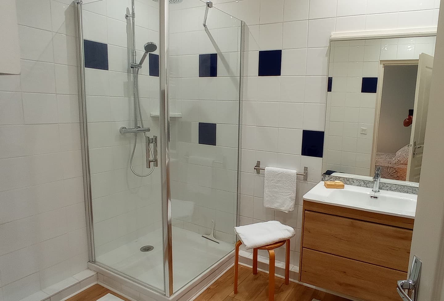Appartement le Balèt - Pau - bain 1