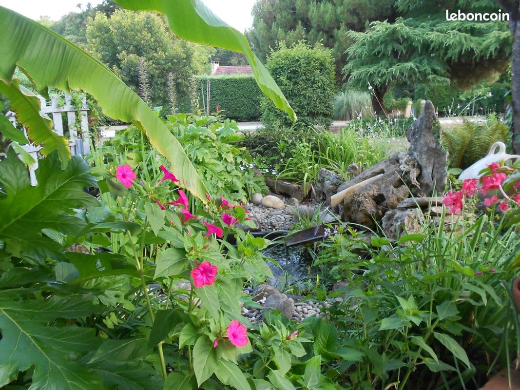 Jardin et eau