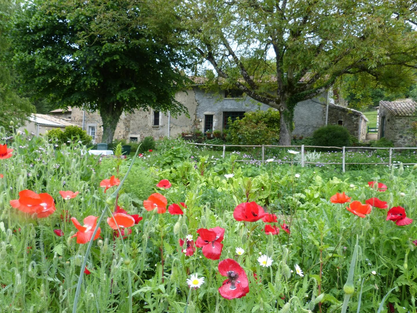 Chambre à Fenioux3