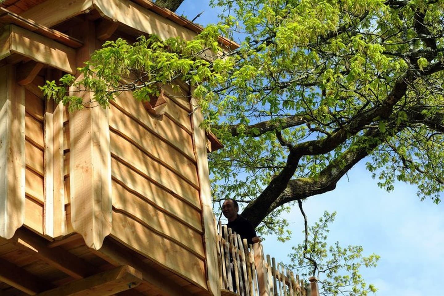Cabane du vieux chêne