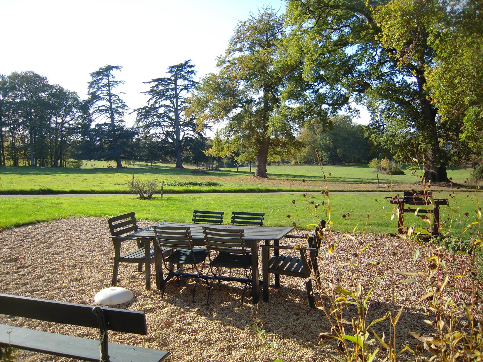 la vue sur le parc depuis la terrasse
