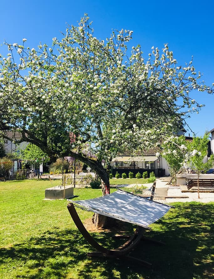 Calm and Relax - Vue sur le jardin