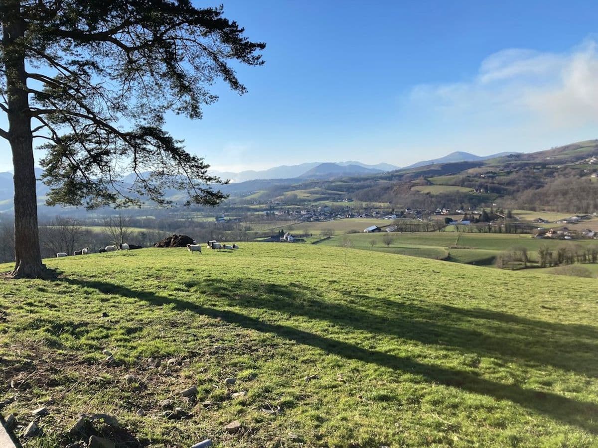 Vue depuis la terrasse
