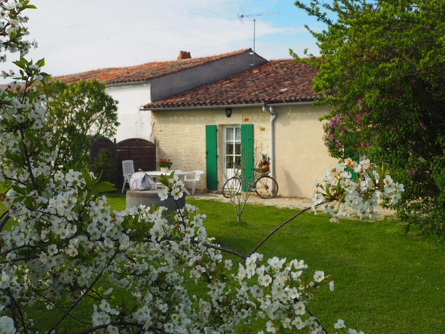 Le jardin