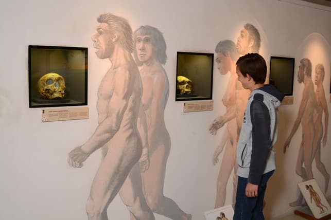 Le musée