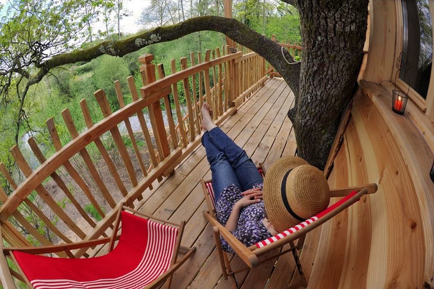 Cabane du vieux chêne