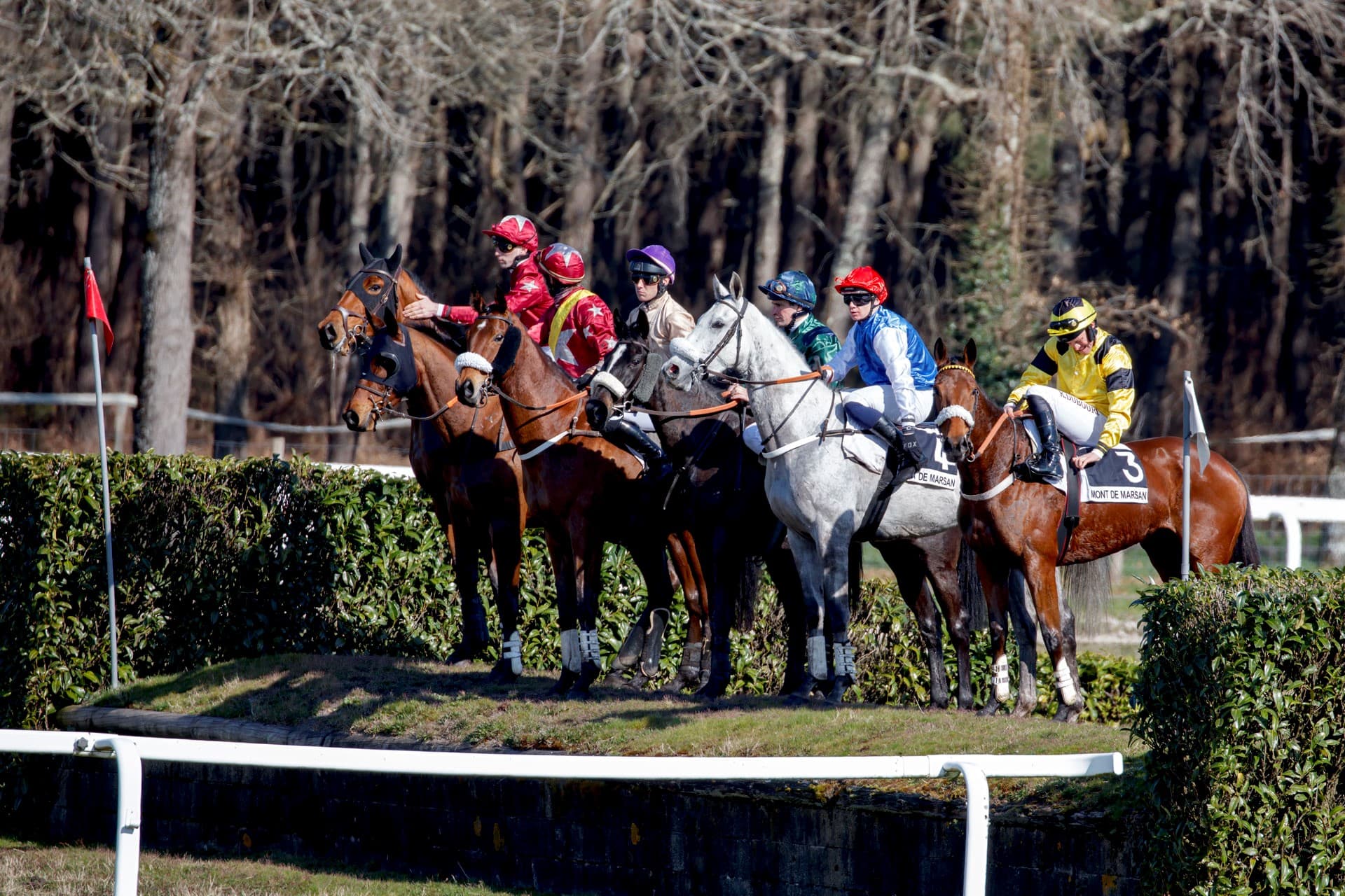 Hippodrome5_16032025©Asac BA118 Photo Club.jpg_6