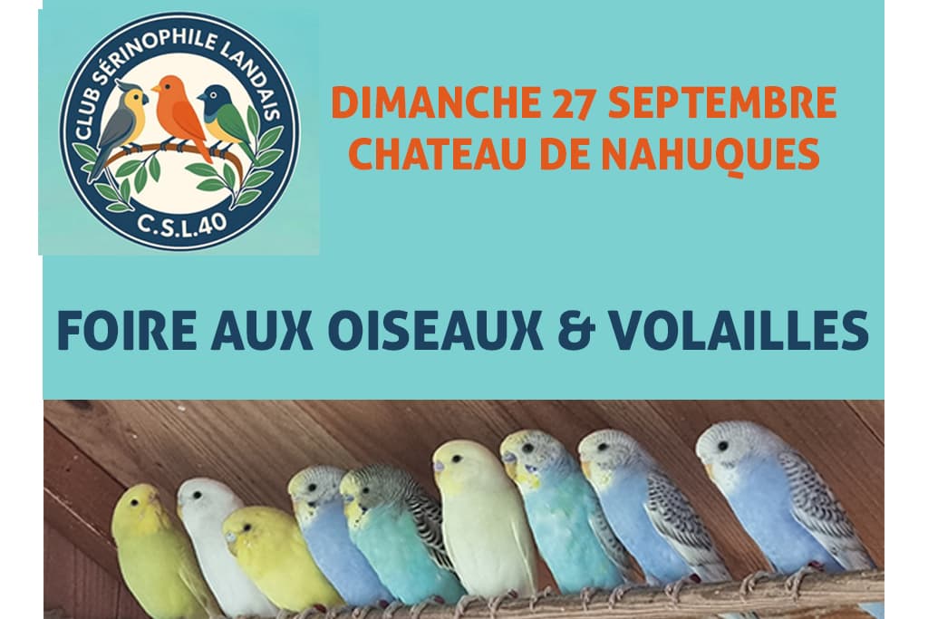 club oiseaux.jpg_1
