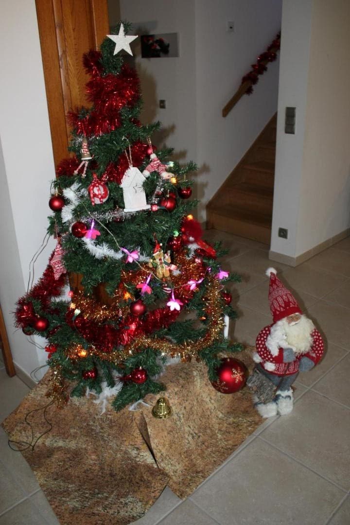 Noël 2019 au Gîte du pin parasol à Arnac la Poste en Haute-Vienne_36
