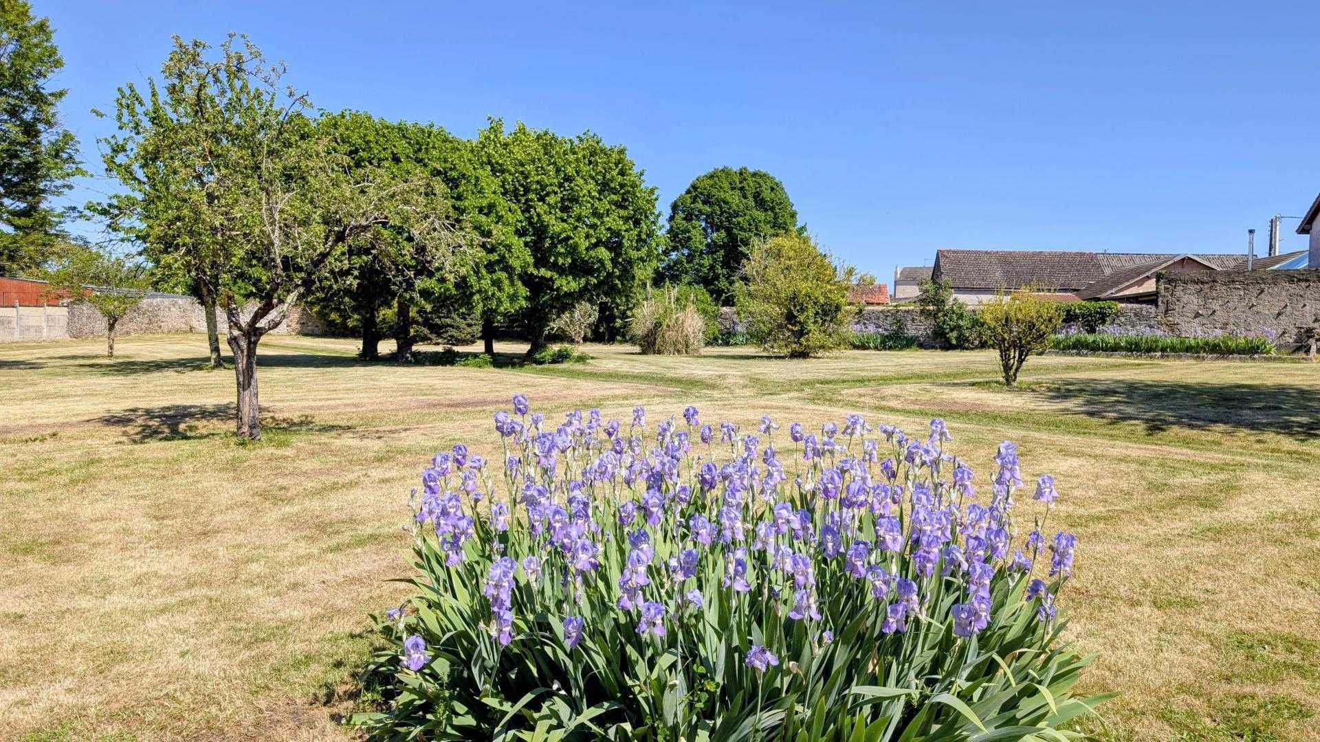 Gite "Le Bourg" à Lussac-les-Eglises en Haute-Vienne (Limousin en Nouvelle Aquitaine)- le parc communal sur l'arrière_3