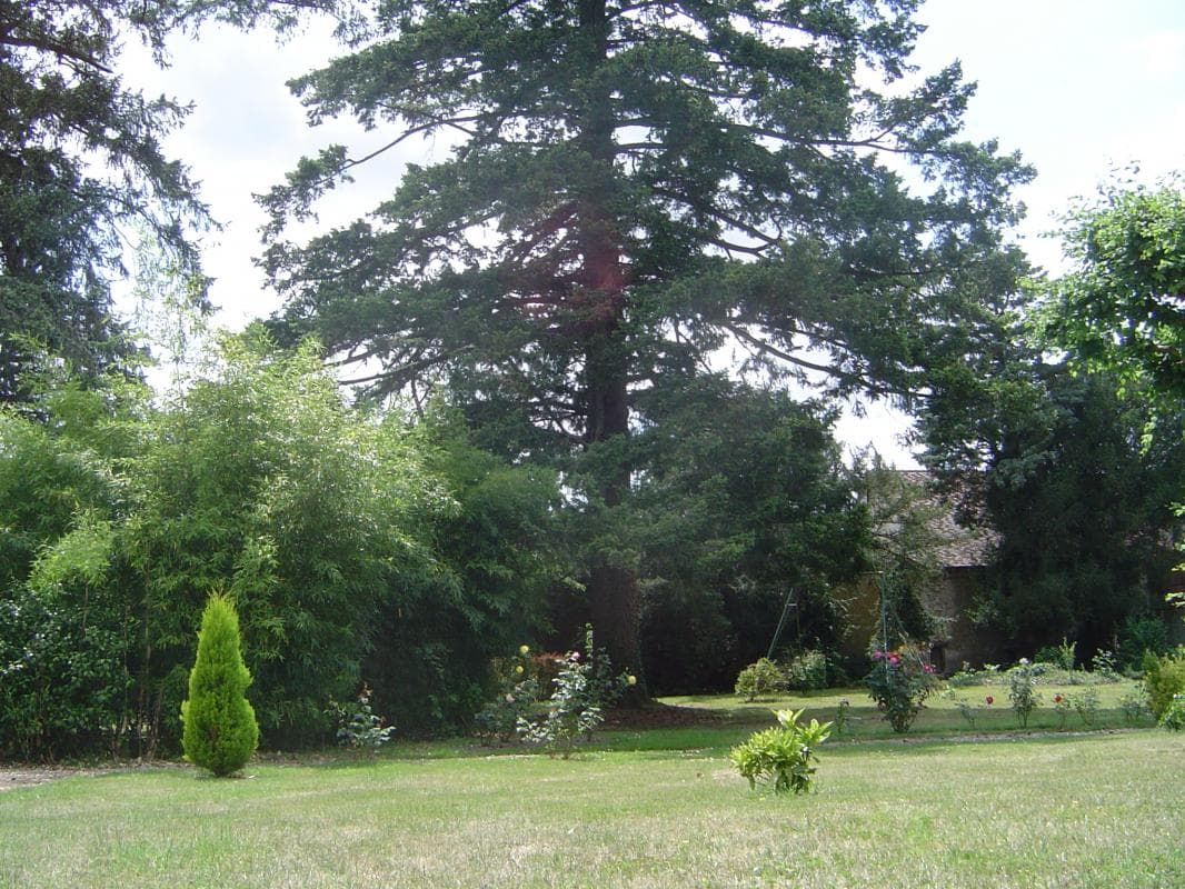 Gite "Le Bourg" à Lussac-les-Eglises en Haute-Vienne (Limousin en Nouvelle Aquitaine) - Le parc communal à l'arrière du gîte_31