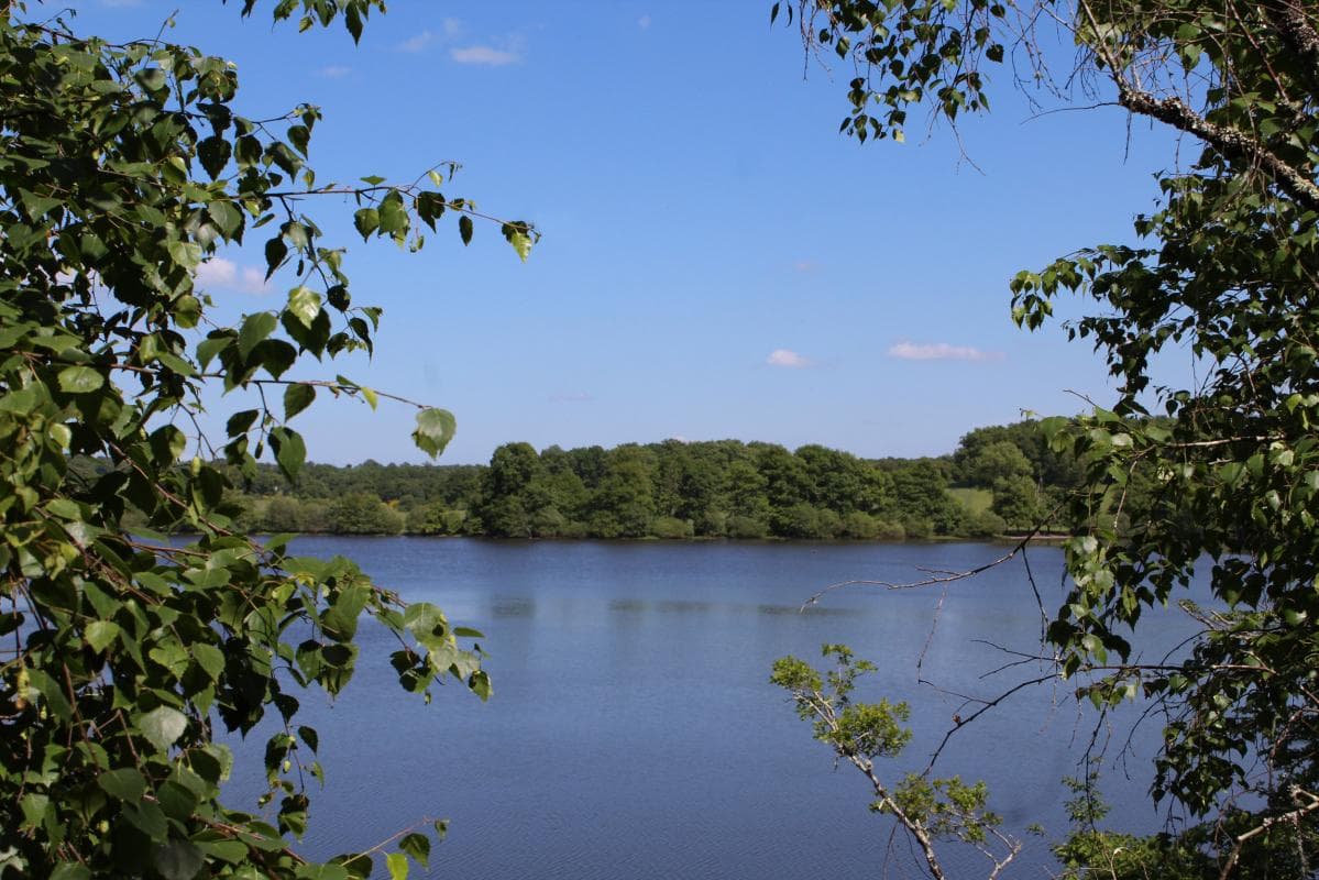 Etang de Murat à Lussac-les-églises en Haute-Vienne (Limousin)_20