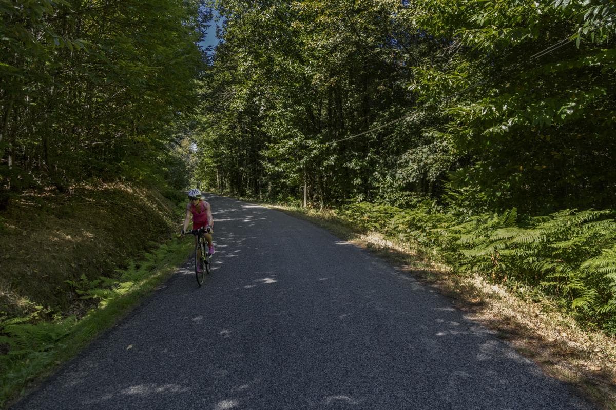 Gite La Thibarderie à Magnac Laval en Haute-Vienne (Limousin en Nouvelle Aquitaine)- Petite route près de La Thibarderie_28