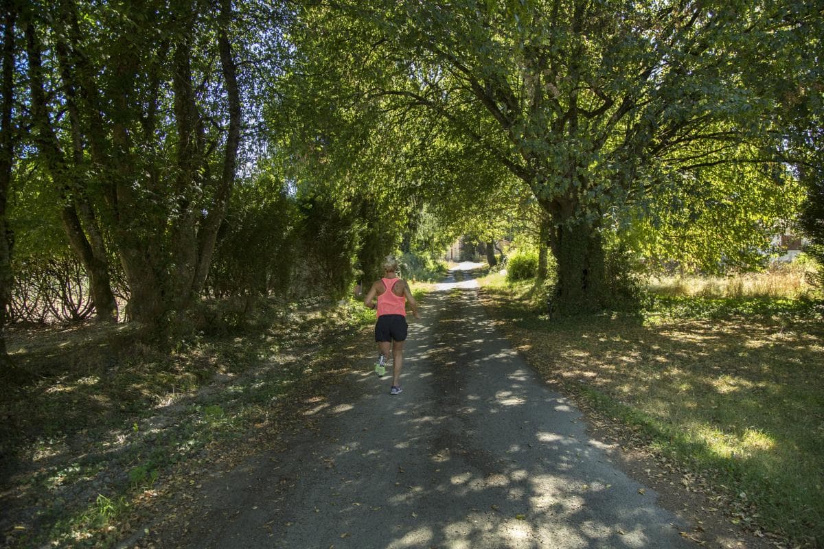 Gite La Thibarderie à Magnac Laval en Haute-Vienne (Limousin en Nouvelle Aquitaine)- La Thibarderie_29
