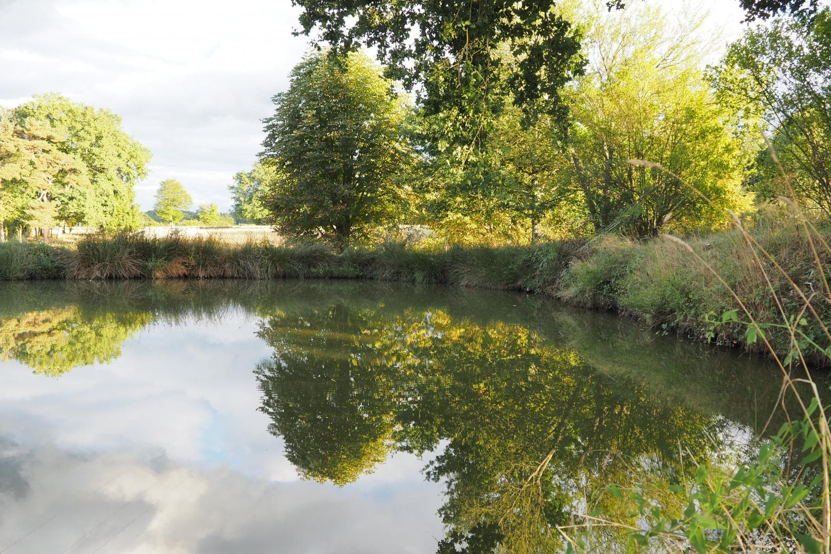 Petite mare attenante à l'étang_40