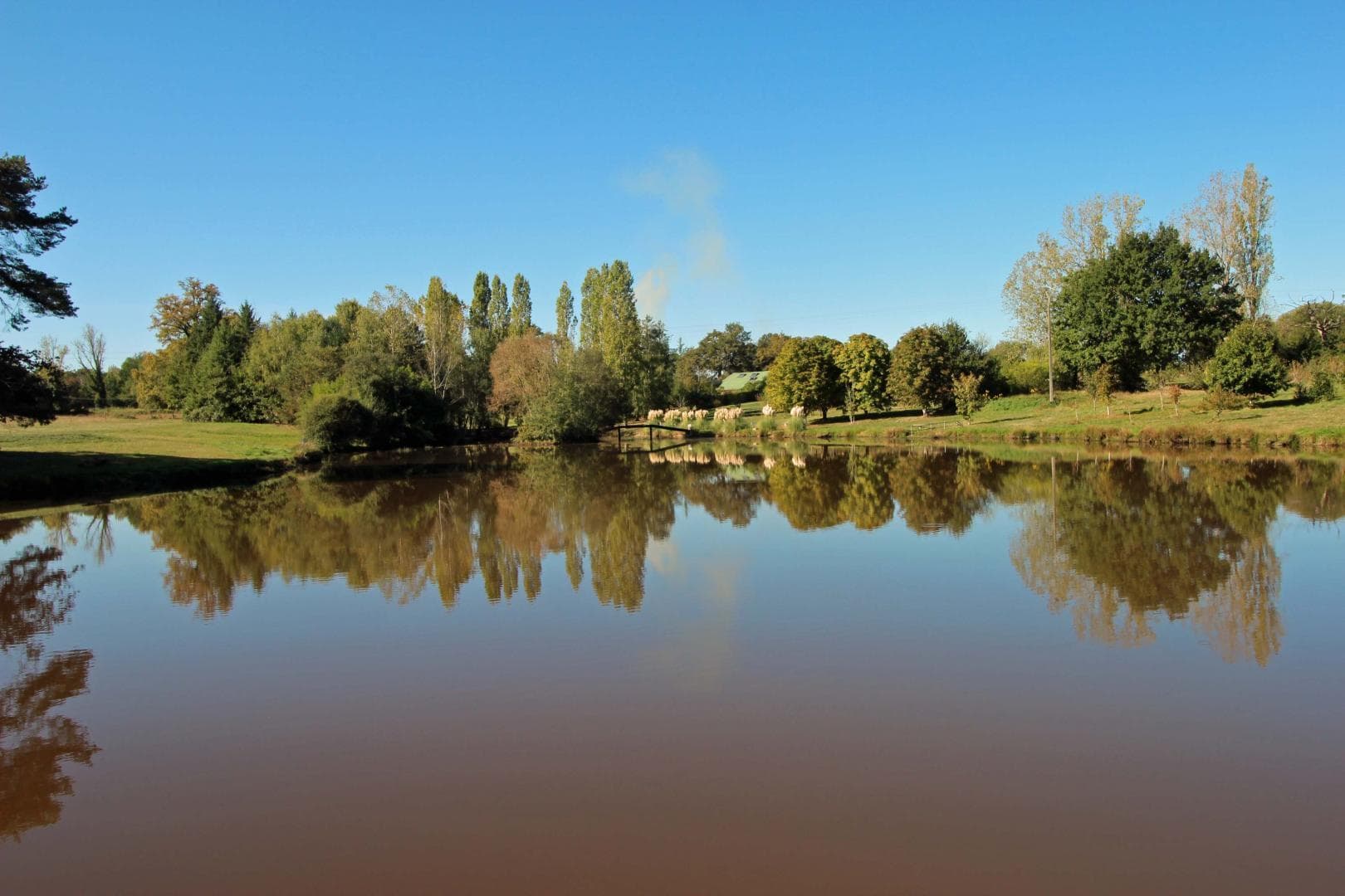 Gite de "Montbrugnaud " à Mailhac sur Benaize en Haute-Vienne - l'étang au bas du terrain_39