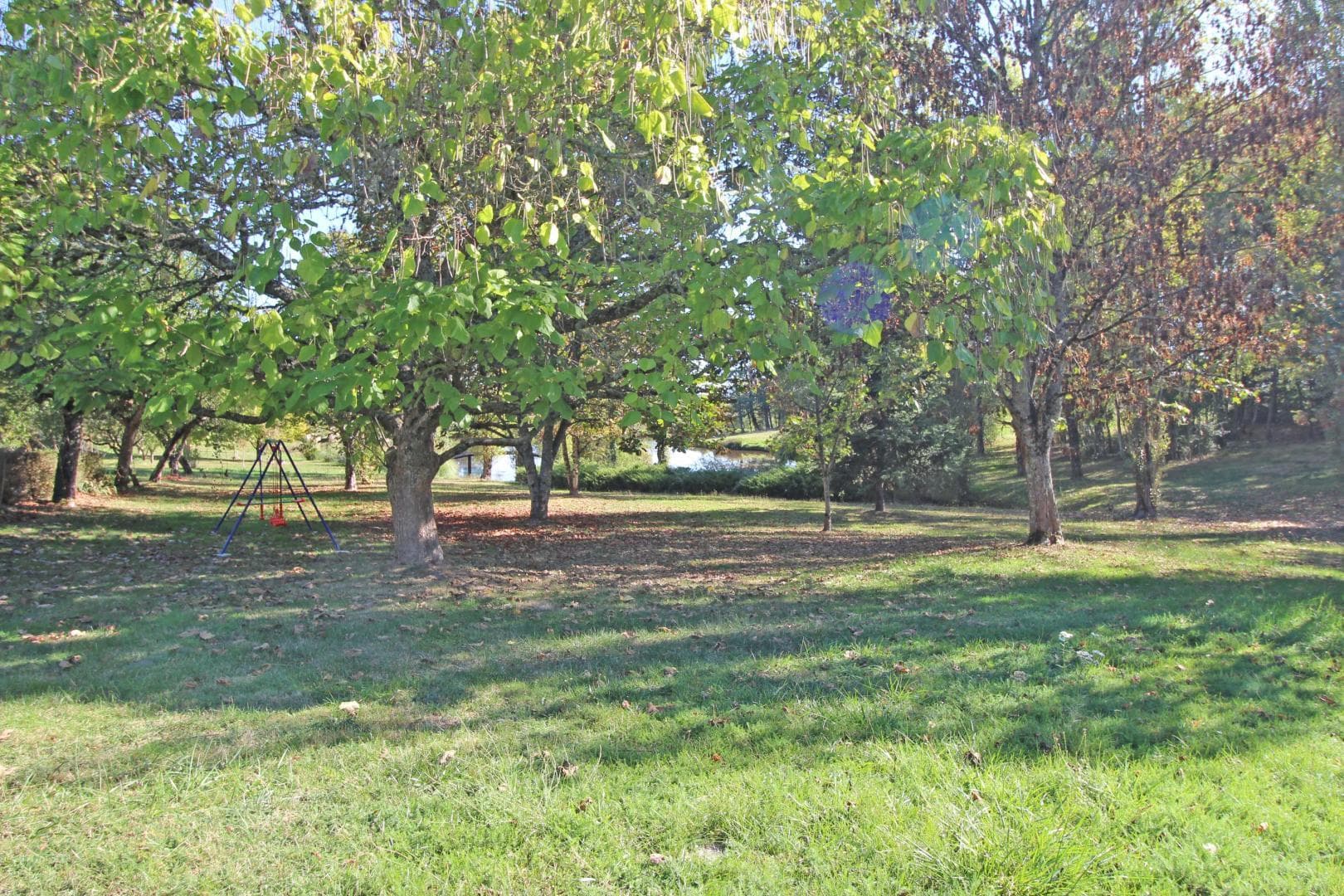 Gite de "Montbrugnaud " à Mailhac sur Benaize en Haute-Vienne - le sous bois en allant vers l'étang_38