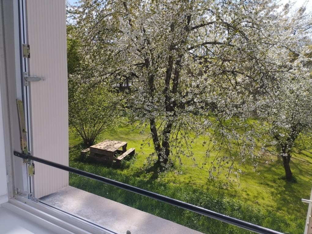 printemps .cerisier en fleur vue d'une chambre_21