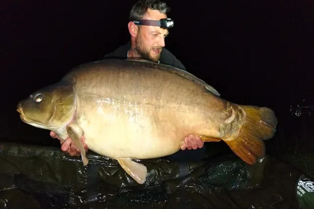 Pêche de nuit à la carpe_16