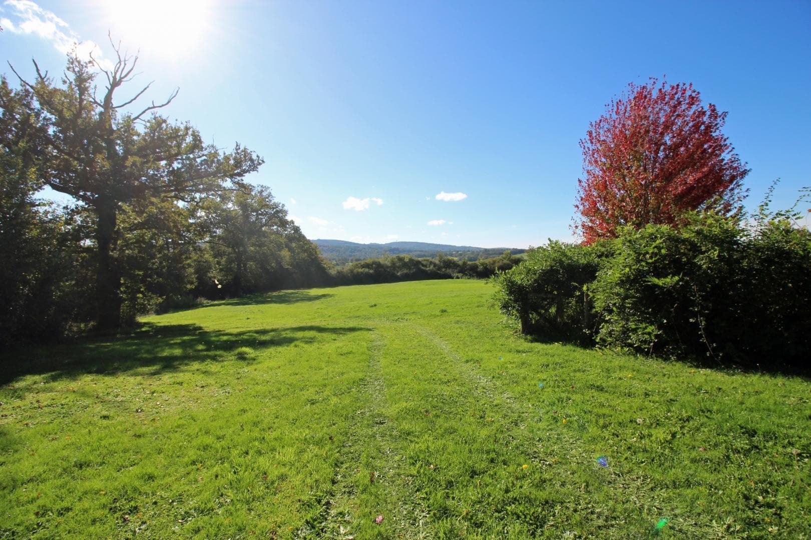 Maison des Roses à Virat, commune de Berneuil en Haute-Vienne, grand espace en pelouse avec vue sur Mont de Blond_3