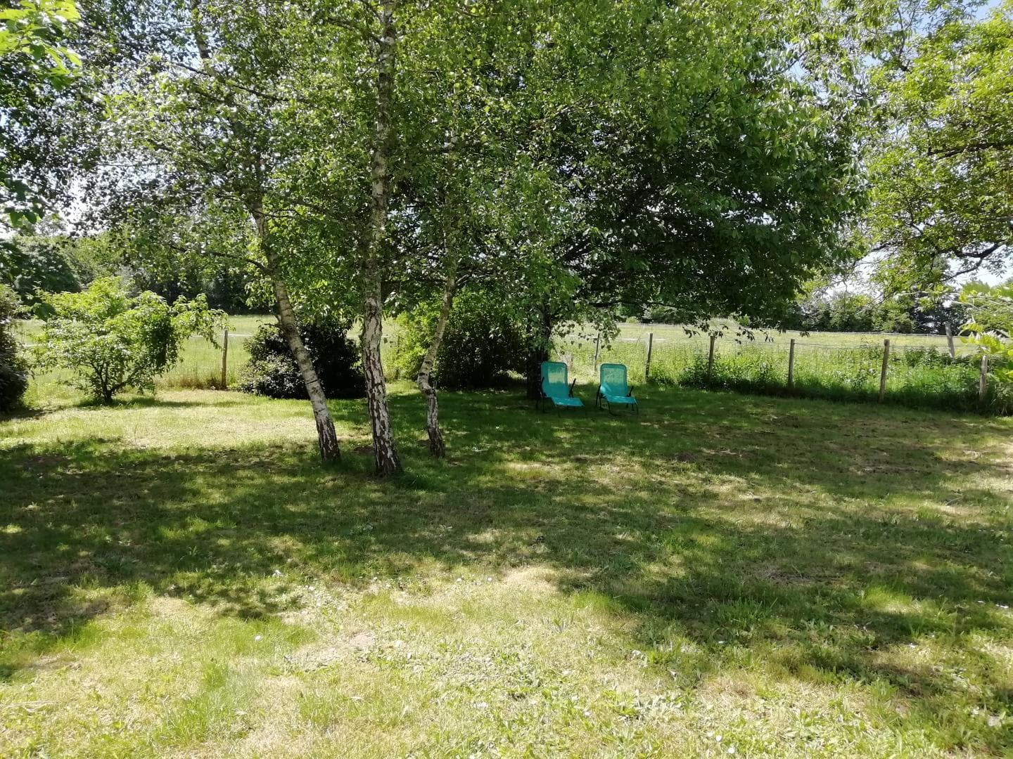 Gite "Les séquoias" à Javerdat en Haute-Vienne (Nouvelle Aquitaine)_15