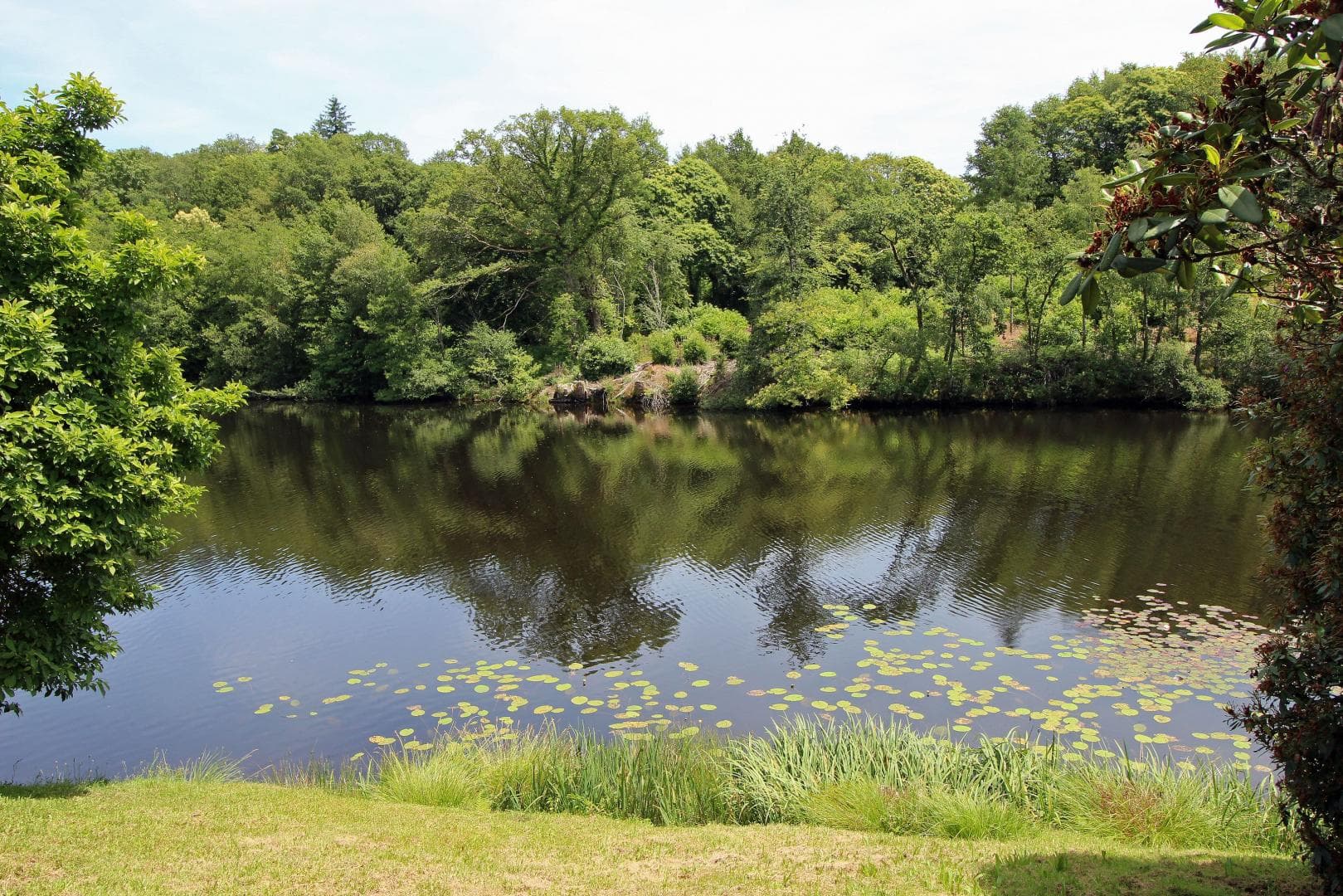 Gite "Dominant l'Etang" à Compreignac en Haute-Vienne (Limousin en Nouvelle Aquitaine)_17