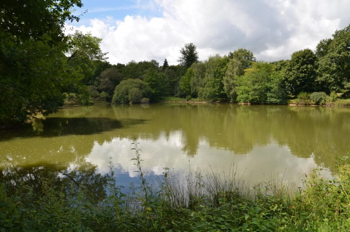 Gîte de La Faye à Compreignac en Haute-Vienne (Limousin en Nouvelle Aquitaine) - L'étang_24