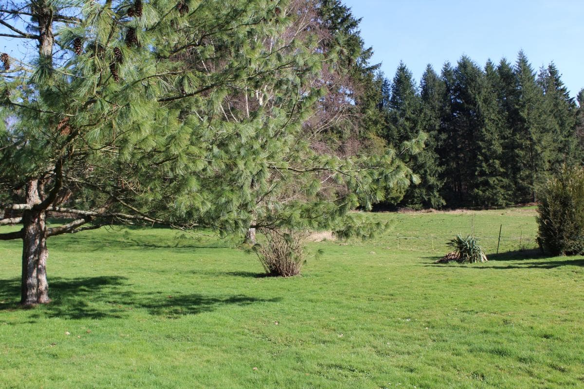 Gîtes Vauguenige_2