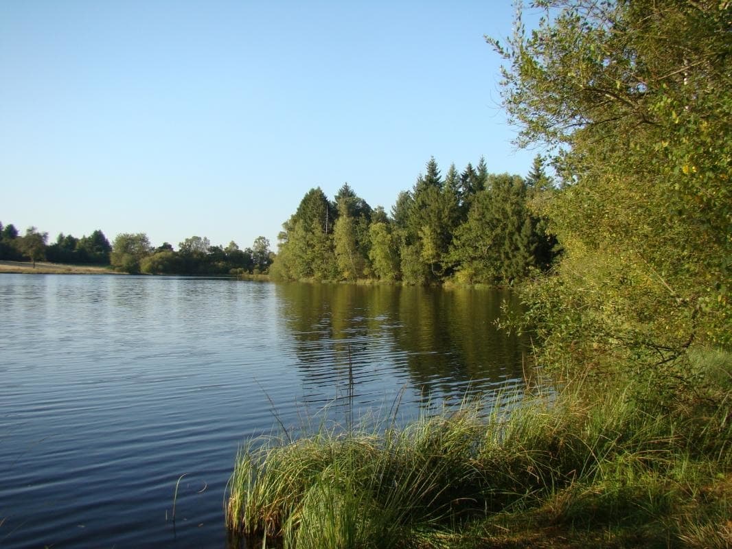 Etang - Gîte de Chasseneuil à Saint Symphorien sur Couze en Haute-Vienne (Limousin en Nouvelle Aquitaine)_4