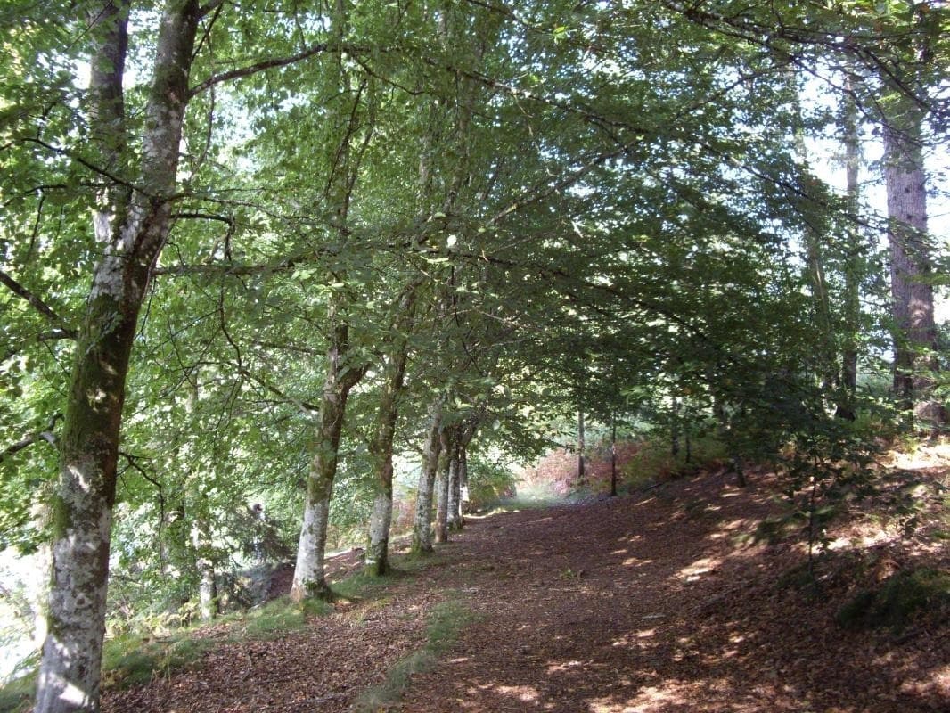 Promenade - Gîte de Chasseneuil à Saint Symphorien sur Couze en Haute-Vienne (Limousin en Nouvelle Aquitaine)_19