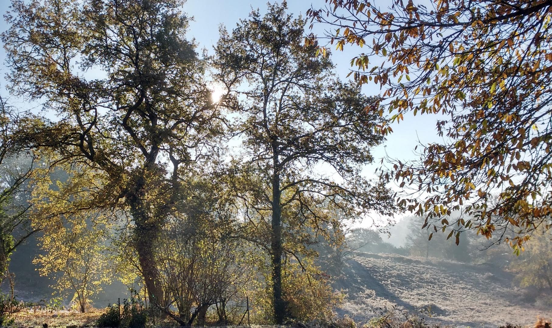 Gite Le Clos des Chênes à La Combe sur la commune de Thouron en Haute-Vienne (Nouvelle-Aquitaine)_25