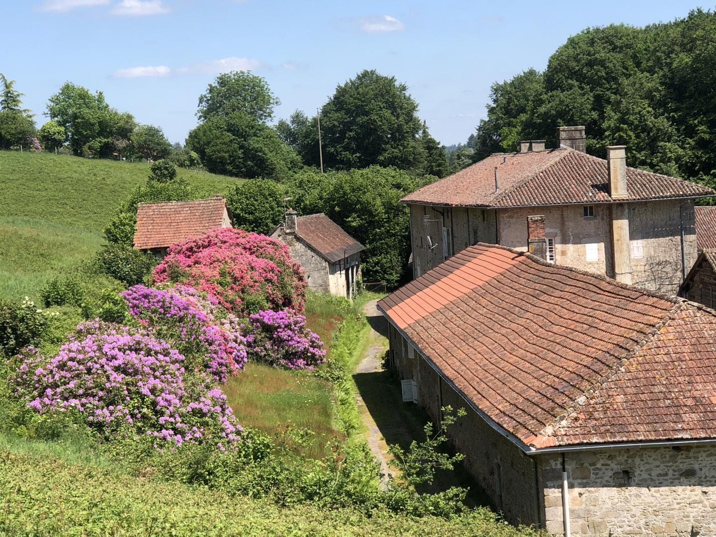 L'orangerie du Vignau, Domaine du Vignau, gîte à La Jonchère Saint Maurice_27