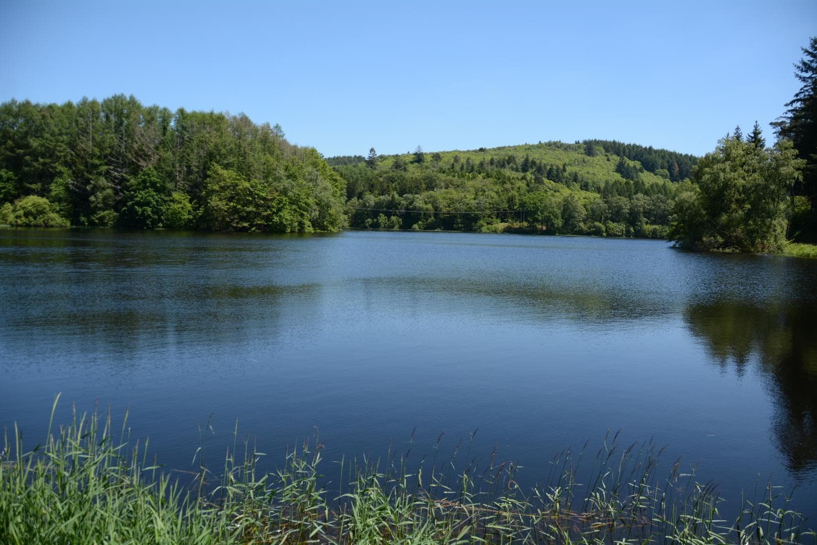 Etang de La Crouzille_72