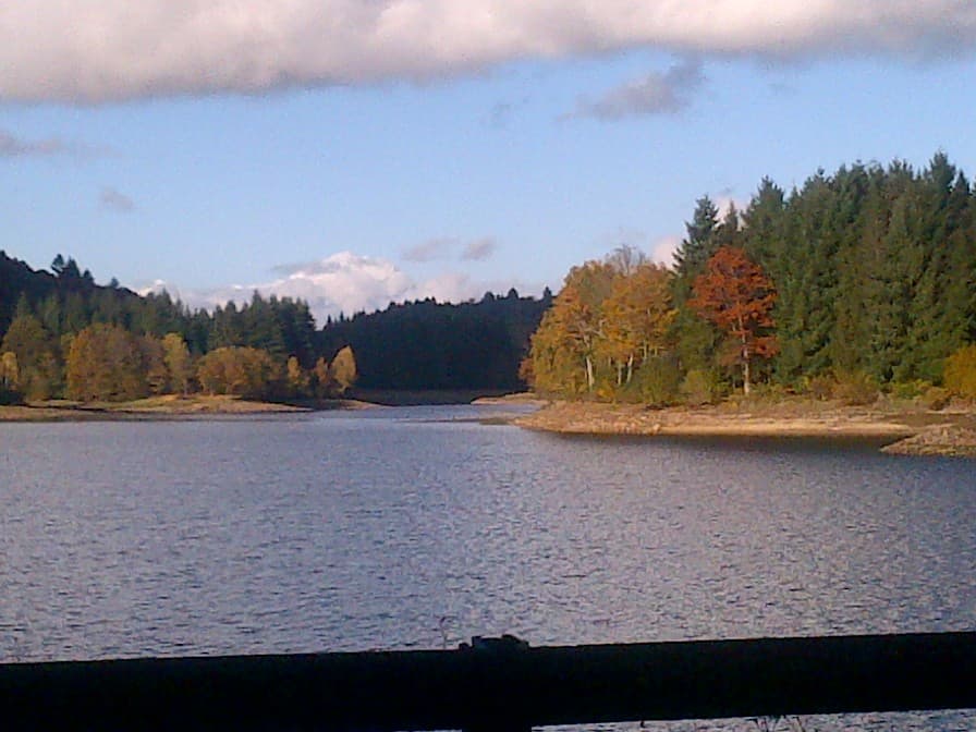 Etang de La Crouzille_70