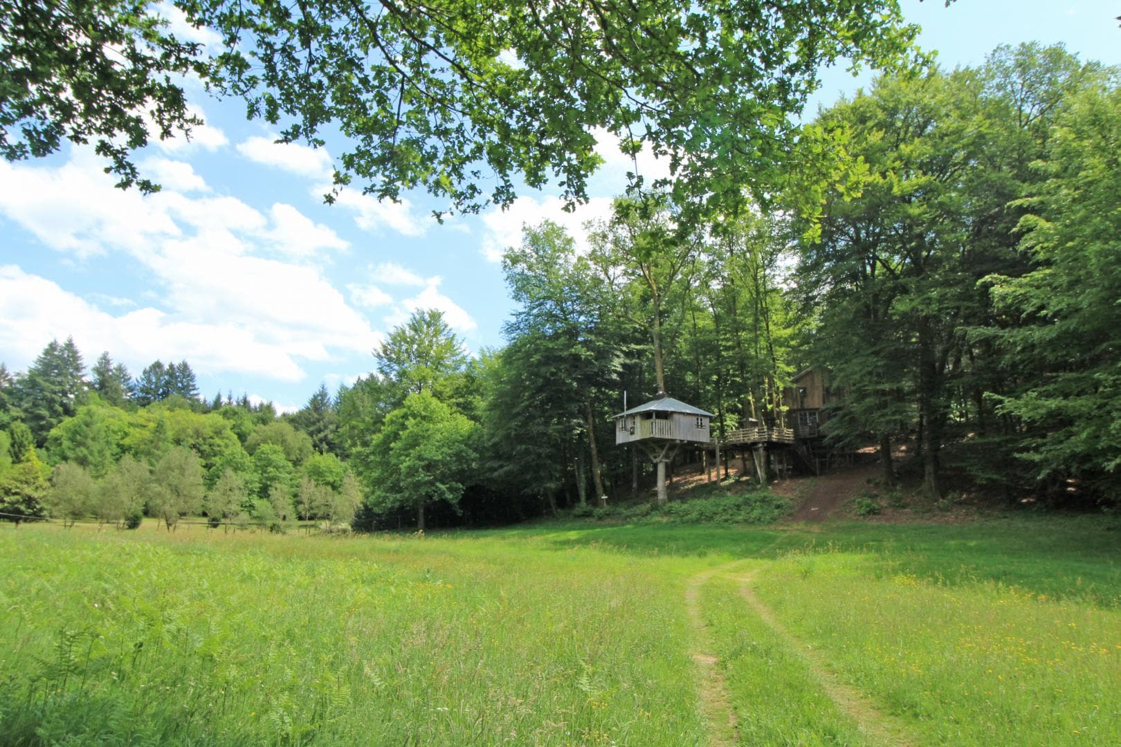 Cabane du "Vieux Huraud" à Saint Sylvestre en Haute-Vienne (Nouvelle Aquitaine)_34