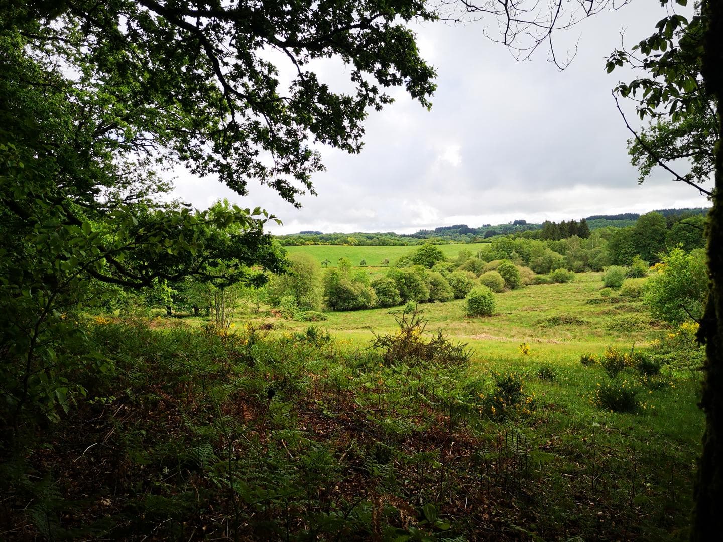 le paysage _49
