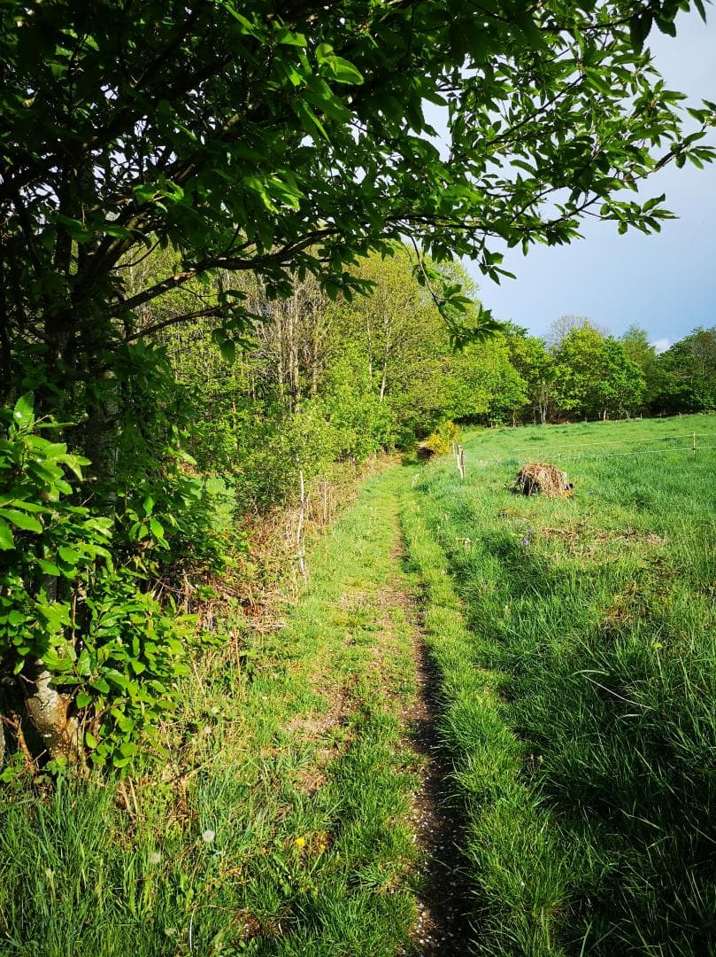 chemin de balade proche de la maison_48