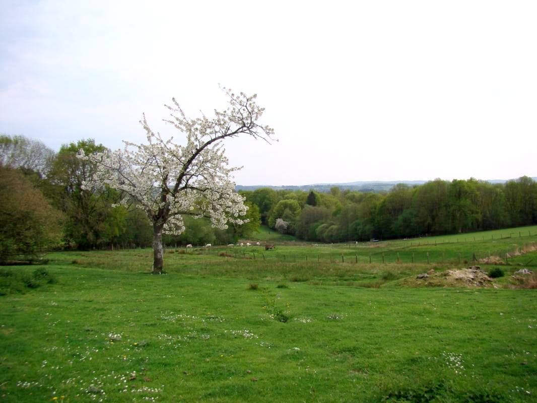 Gite "Négrignas" à Augne en Haute-Vienne (Limousin en Nouvelle Aquitaine)_14