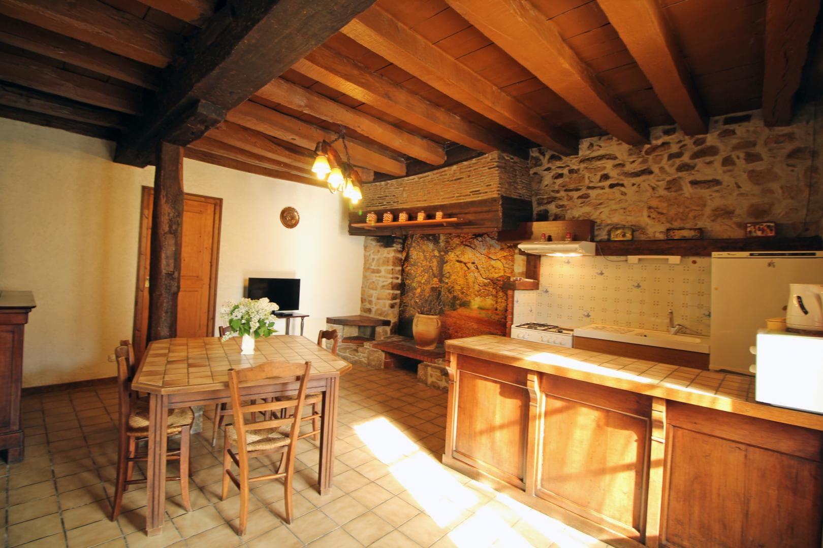 Gite du "Chatenet" au Chatenet en Dognon en Haute-Vienne (Limousin) - cuisine_3