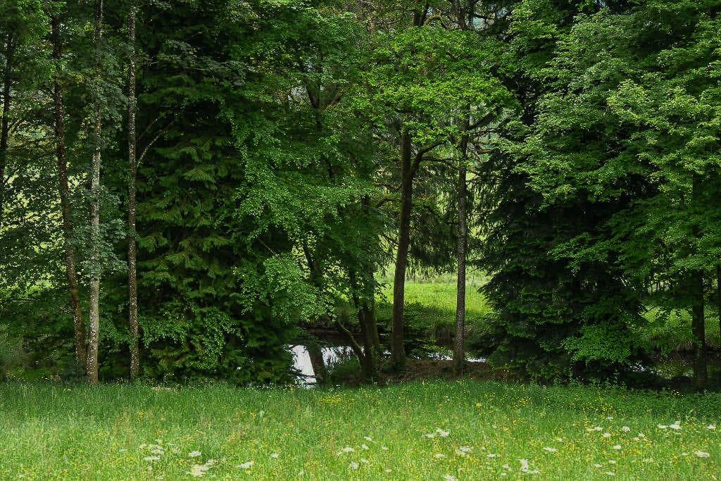 La rivière anglaise au bas du parc_45