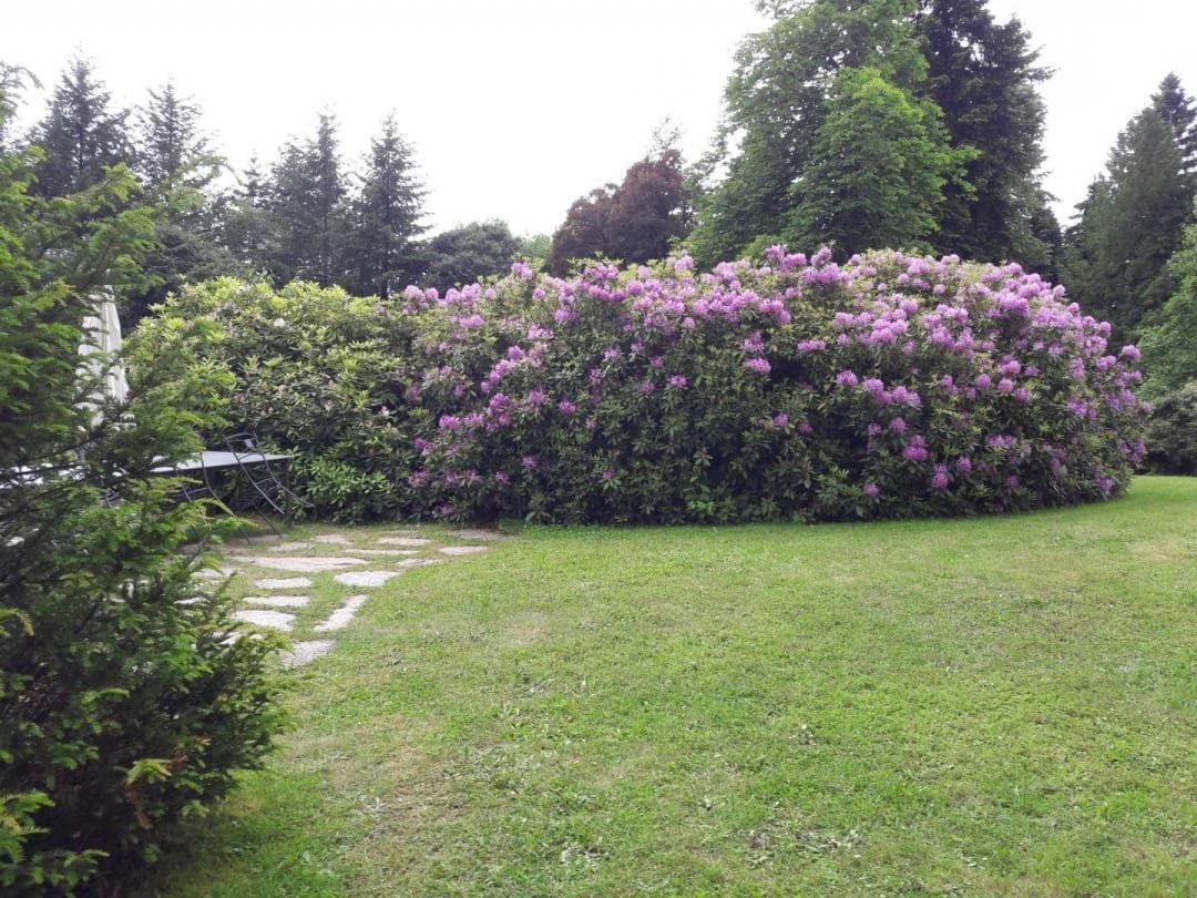 Gite "Brenac Jeune" à Eymoutiers en Haute-Vienne (Nouvelle Aquitaine)_54
