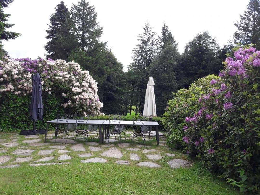 Gite "Brenac Jeune" à Eymoutiers en Haute-Vienne (Nouvelle Aquitaine) - terrasse_42