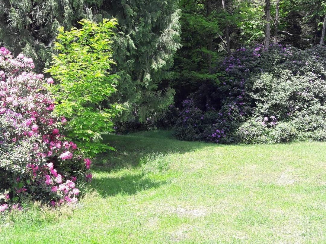 Gite "Brenac Jeune" à Eymoutiers en Haute-Vienne (Nouvelle Aquitaine)_55