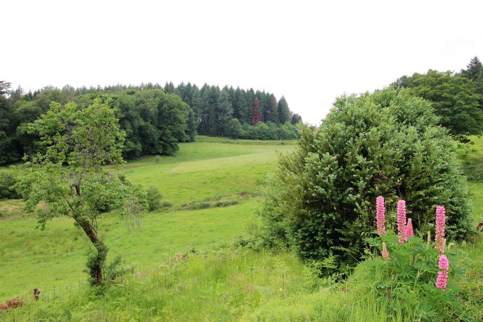 Gîte de Chalendeix en Haute-Vienne, vue de la terrasse_37