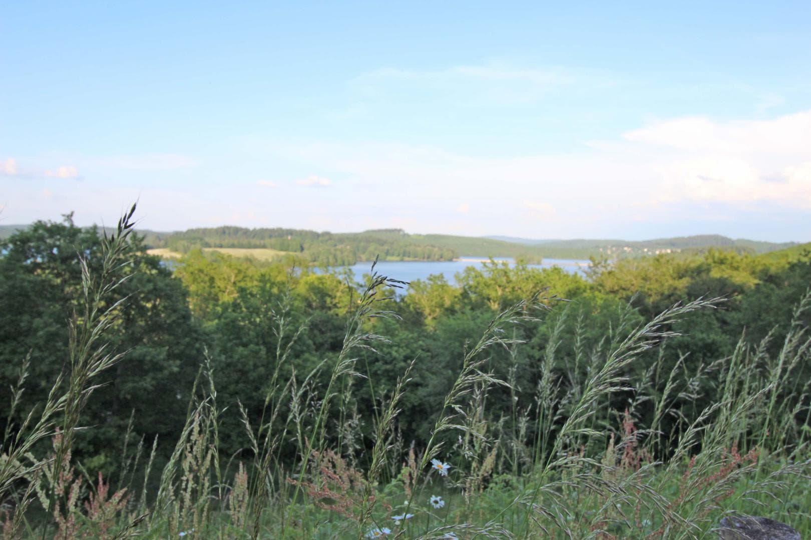 Larcs à Auphelle - Peyrat Le Chateau en Haute-Vienne (Nouvelle Aquitaine) - le lac de Vassivière_38