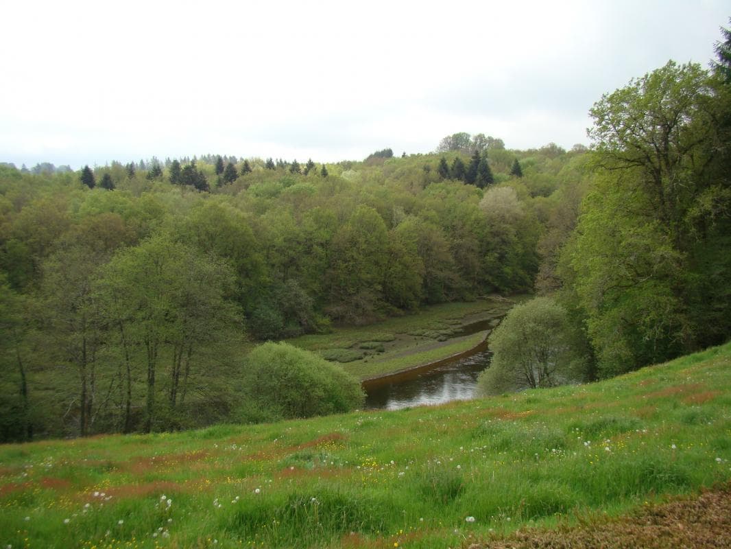 Gite "Bosrigaud" à Peyrat Le Château en Haute-Vienne (Limousin en Nouvelle Aquitaine)_3