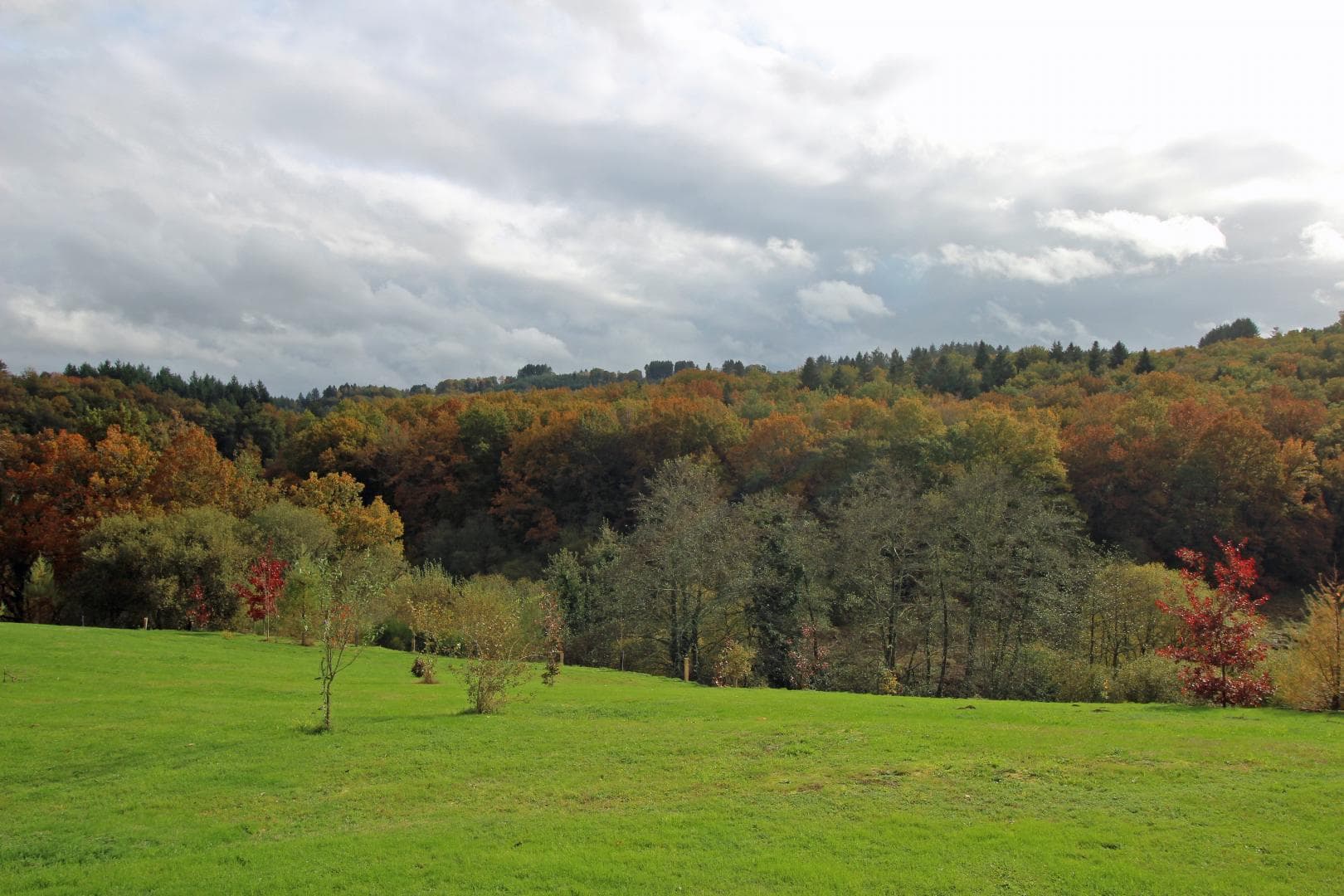 Gite "Bosrigaud" à Peyrat Le Château en Haute-Vienne (Limousin en Nouvelle Aquitaine)_20