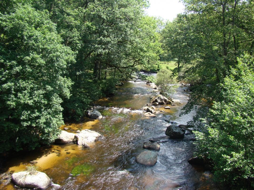 Gite "Villeneuve" à Rempnat en Haute-Vienne (Nouvelle Aquitaine). La Vienne au pont de La Villeneuve._5